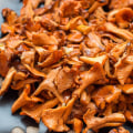 A Beginner's Guide to Cooking with Chanterelle Mushrooms