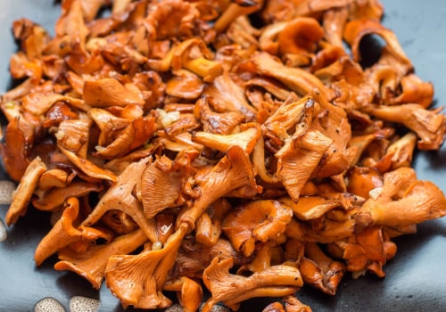 A Beginner's Guide to Cooking with Chanterelle Mushrooms