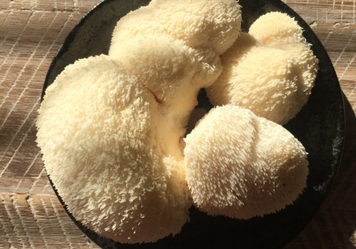 Lion's Mane Mushrooms: A Delicious Addition to Chinese Cooking
